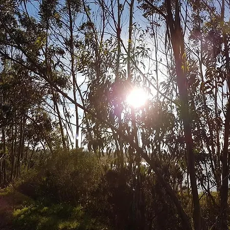 Casa Do Canto - Uma Casa No Campo, Perto Da Praia. 別荘 オビドス