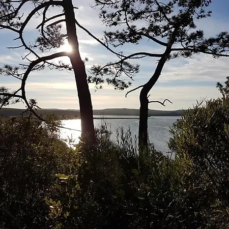 別荘 Casa Do Canto - Uma Casa No Campo, Perto Da Praia. *