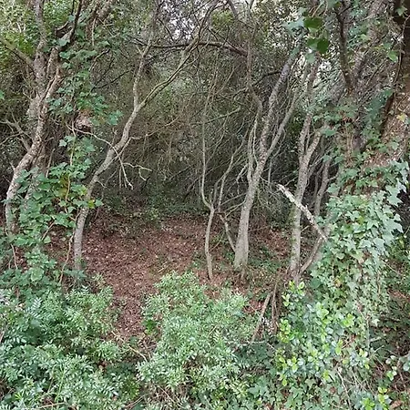 Casa Do Canto - Uma Casa No Campo, Perto Da Praia. Vakantiehuis *