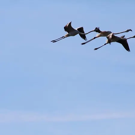 Casa Do Canto - Uma Casa No Campo, Perto Da Praia. Vakantiehuis