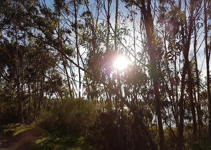 Casa Do Canto - Uma Casa No Campo, Perto Da Praia. Ferienhaus Óbidos