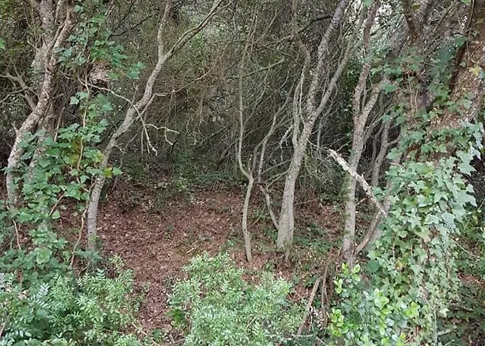 Casa Do Canto - Uma Casa No Campo, Perto Da Praia. Ferienhaus *