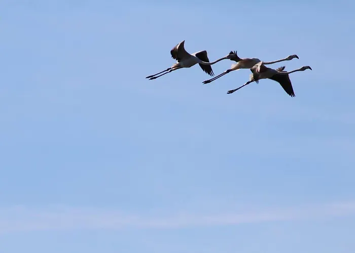 Casa Do Canto - Uma Casa No Campo, Perto Da Praia. Ferienhaus